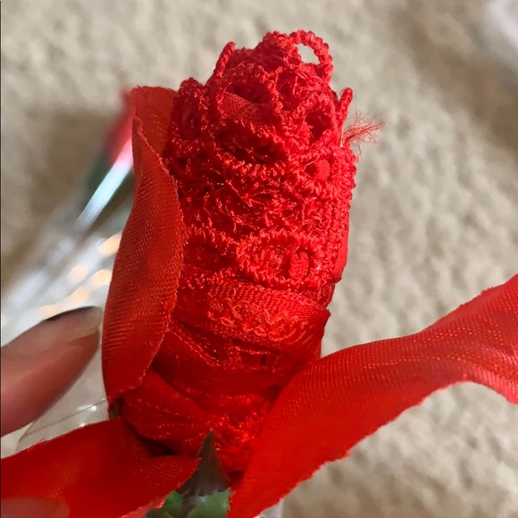 roses with underwear inside! - Picture 4 of 8